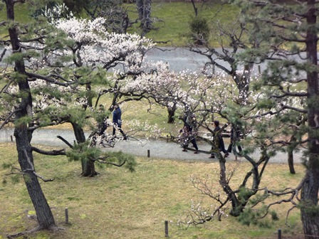 二条城