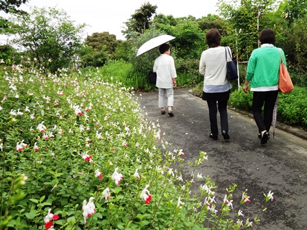 守山バラ・ハーブ園