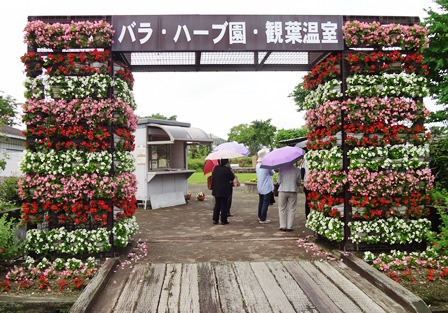 守山バラ・ハーブ園1