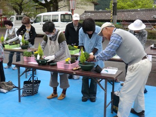 春の寄せ植え教室